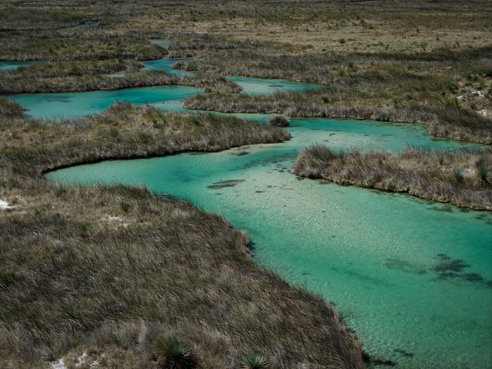 Vista aérea de canales turquesas serpenteando entre pastizales dorados