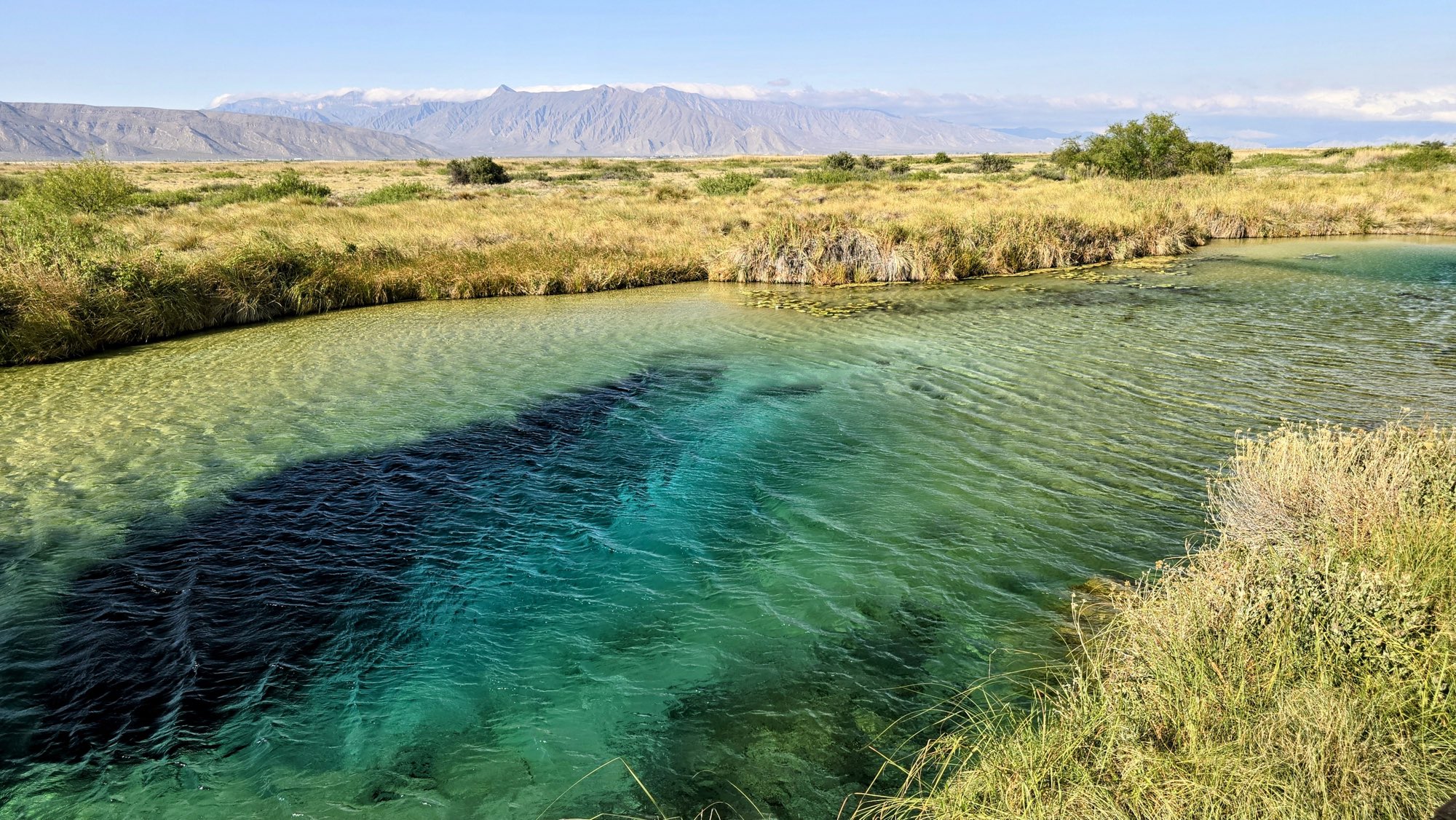 Poza turquesa de aguas claras rodeada de pastizal con sierra al fondo